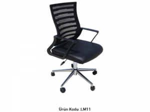 BÜROHOME LİMA LM11 Çalışma Koltuğu