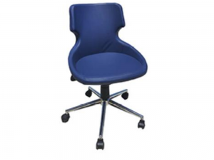 BÜROHOME ARYA AY53 Çalışma Koltuğu